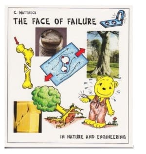 IML The Face of Failure Book
