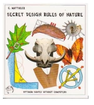IML Secret Design Rules of Nature