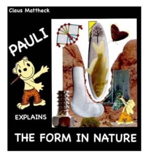 IML Pauli Explains the Form in Nature