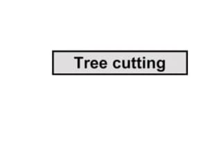 Quazar Variant - Tree Cutting