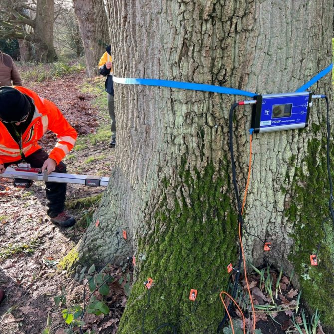 IML PD and Picus 3 being used on a tree as part of a tree survey