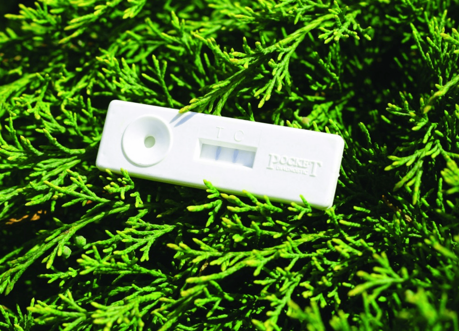 A Pocket Diagnostic test on a hedge background