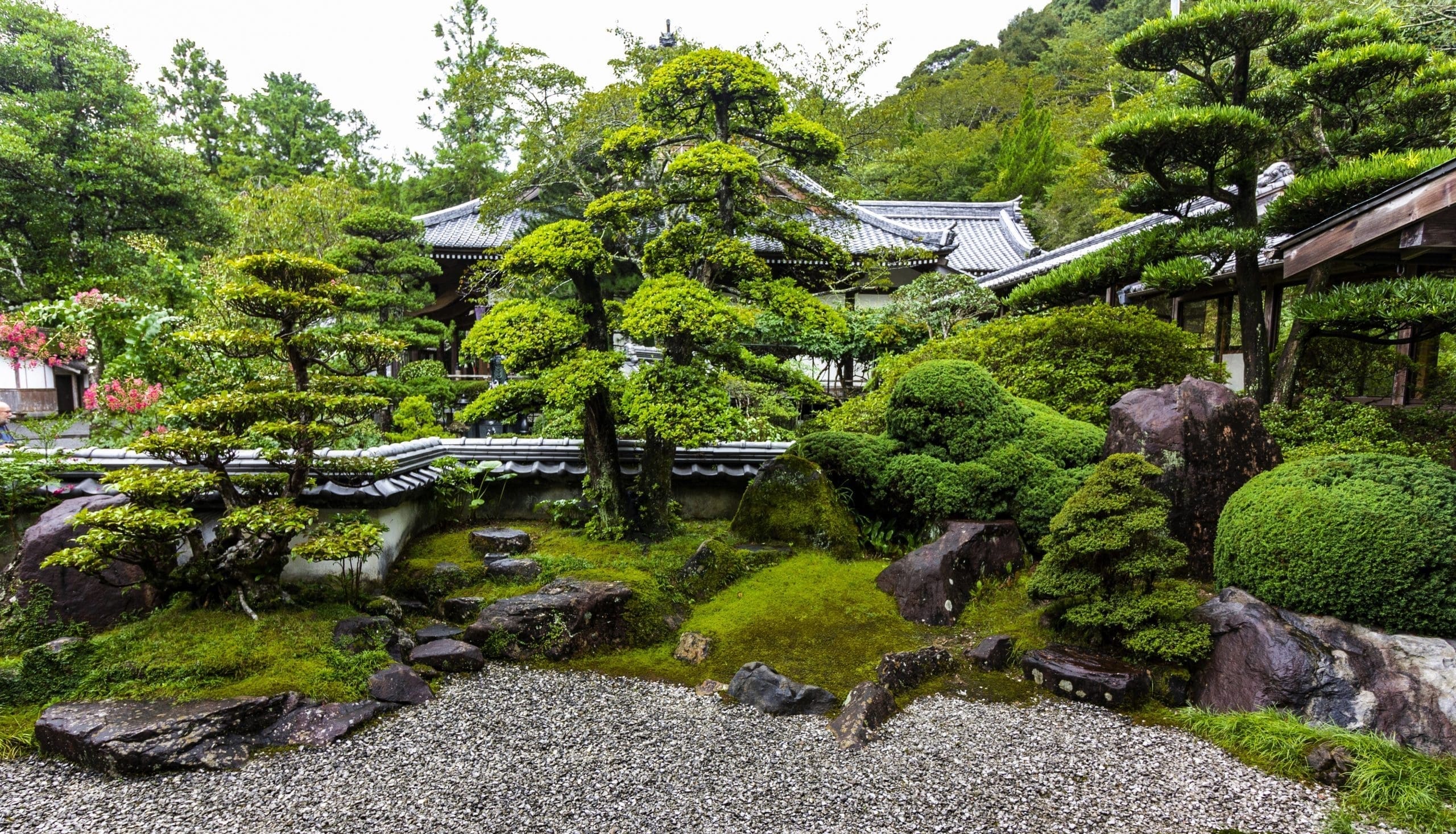 A large Japanese garden filled with bonsai trees