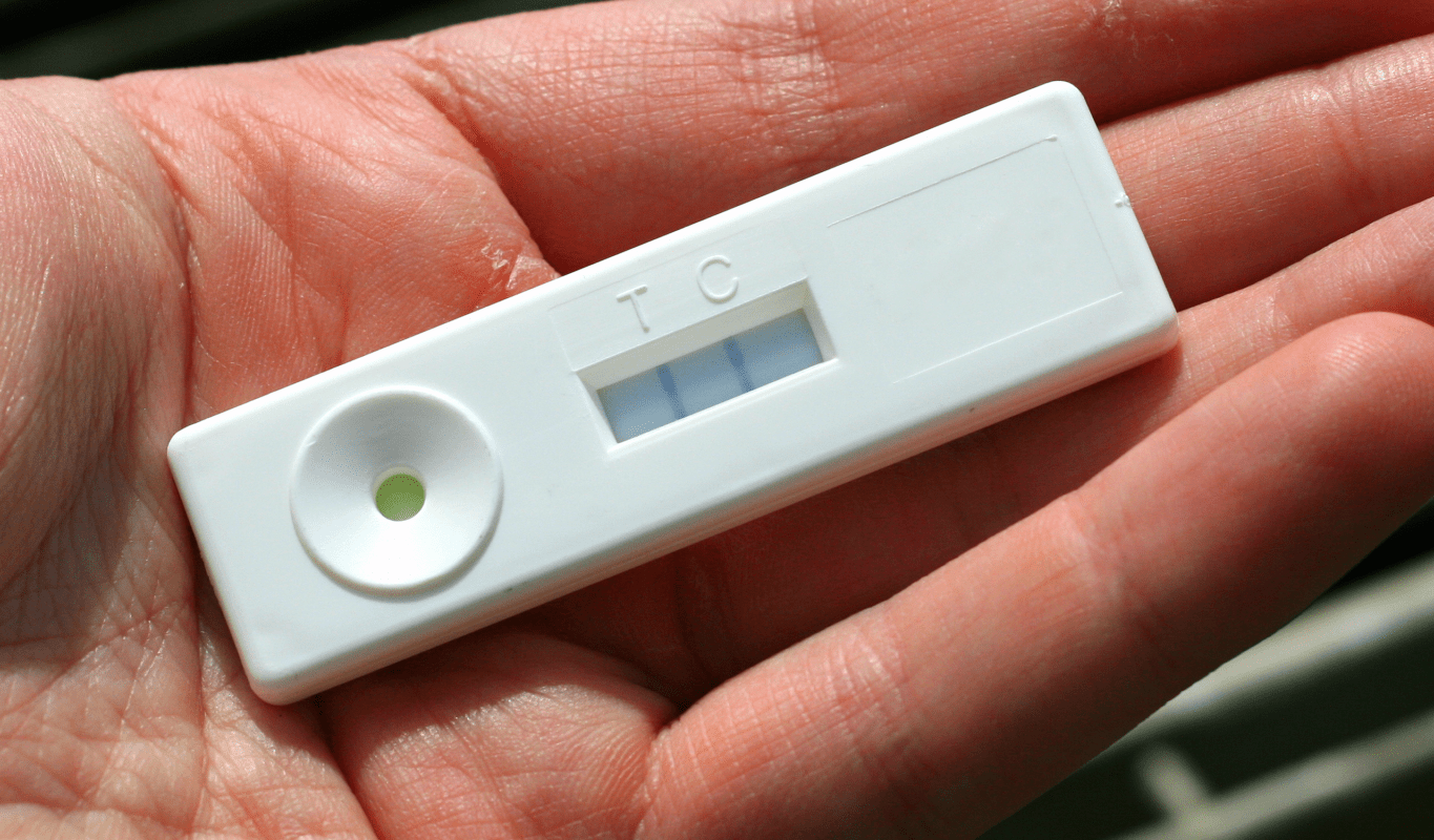 Pocket diagnostic test in hand